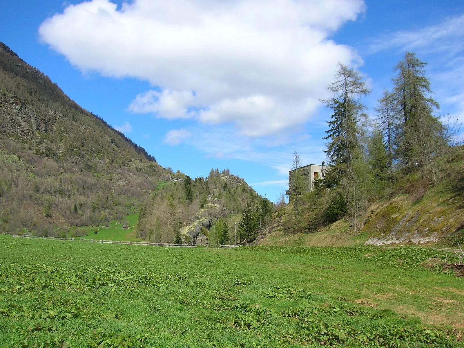 Grand Haury - Boregne