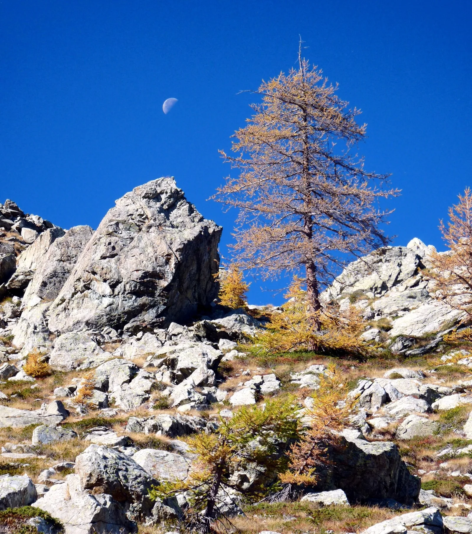 Remoran - Col d'Arcomy