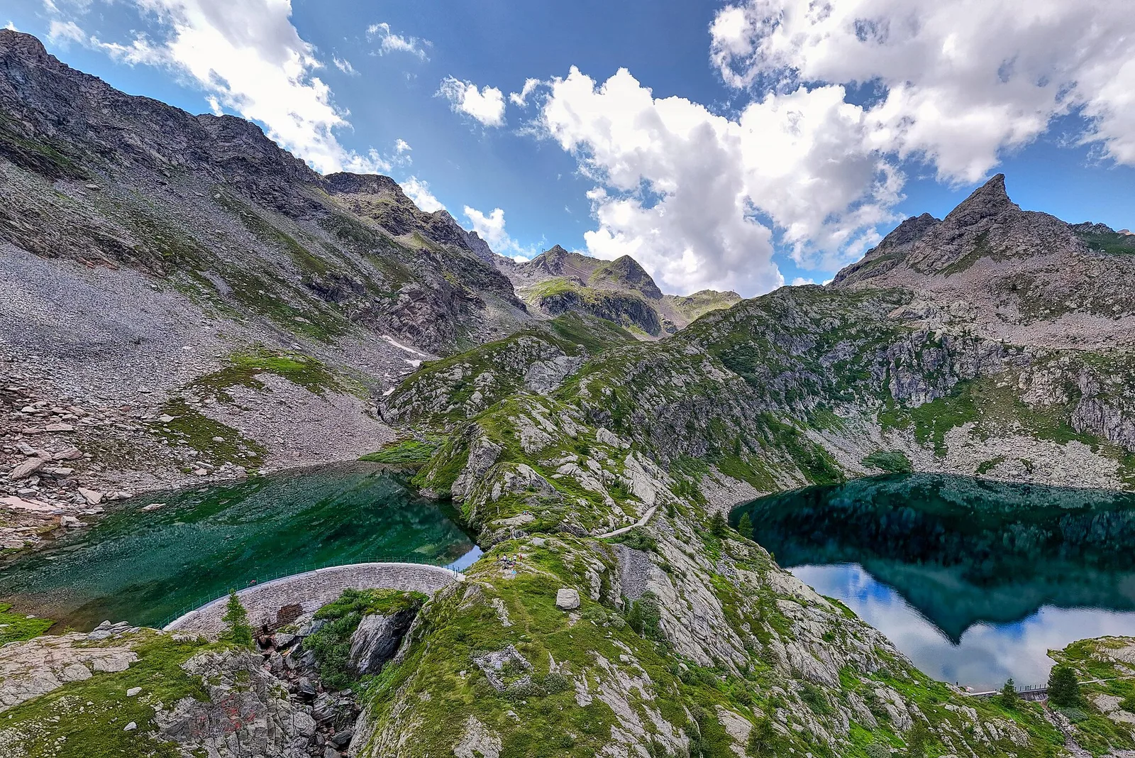 Chardonney - Cimetta Rossa (dalla Gran Comba)