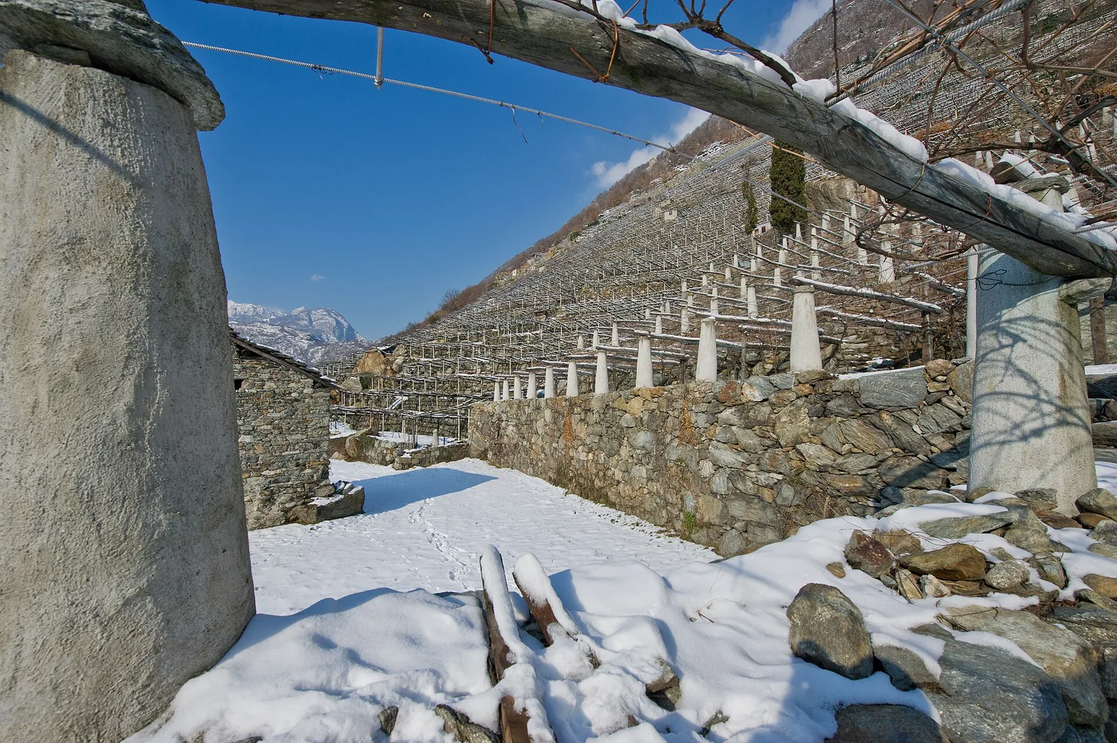 Bourg - Verale