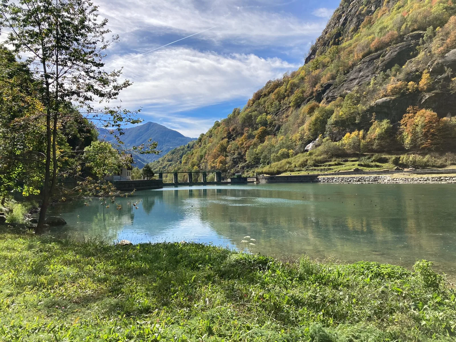 Zengji - Colle Marmontana