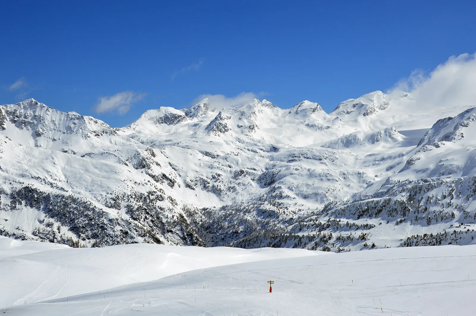 Souches - Mont-Belvedere