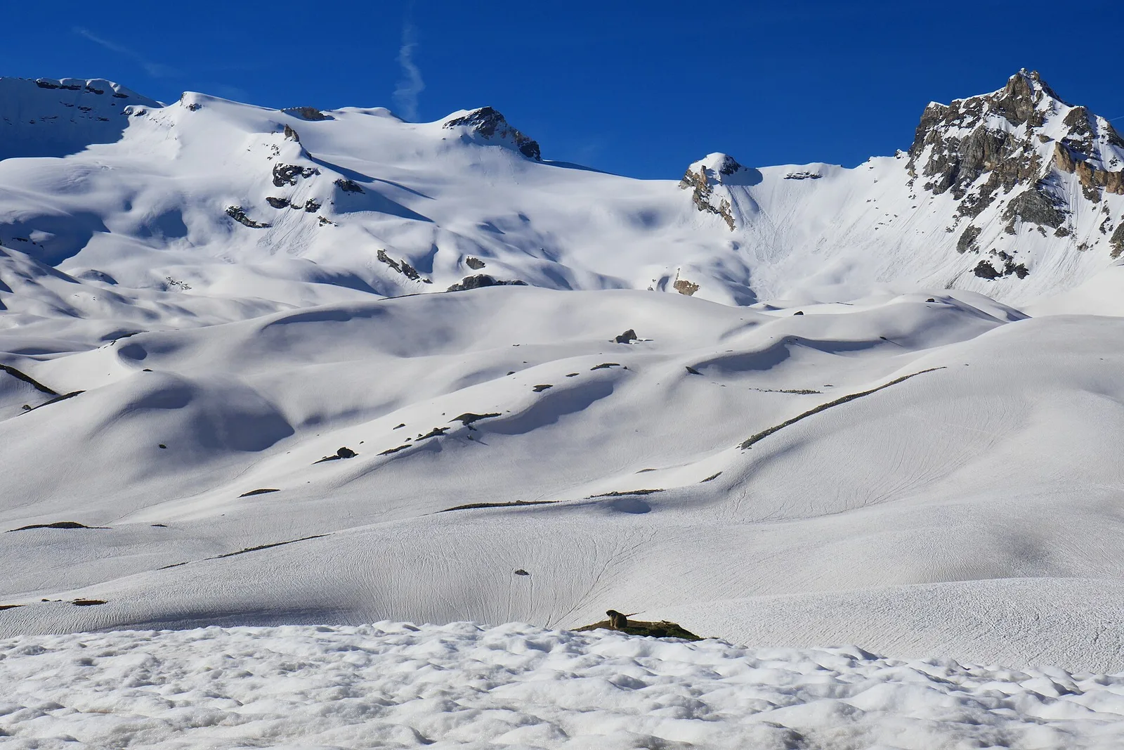 Rifugio Benevolo : Giro "Truc di Tsanteleina"