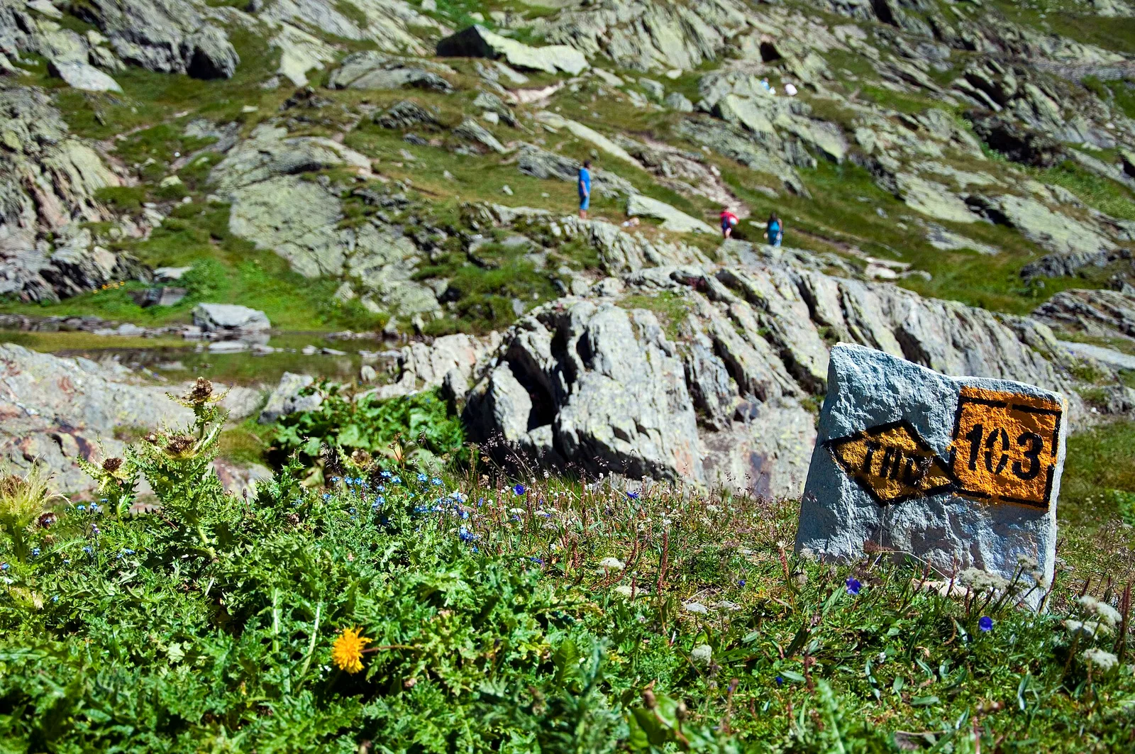 Col Fenêtre de Ferret