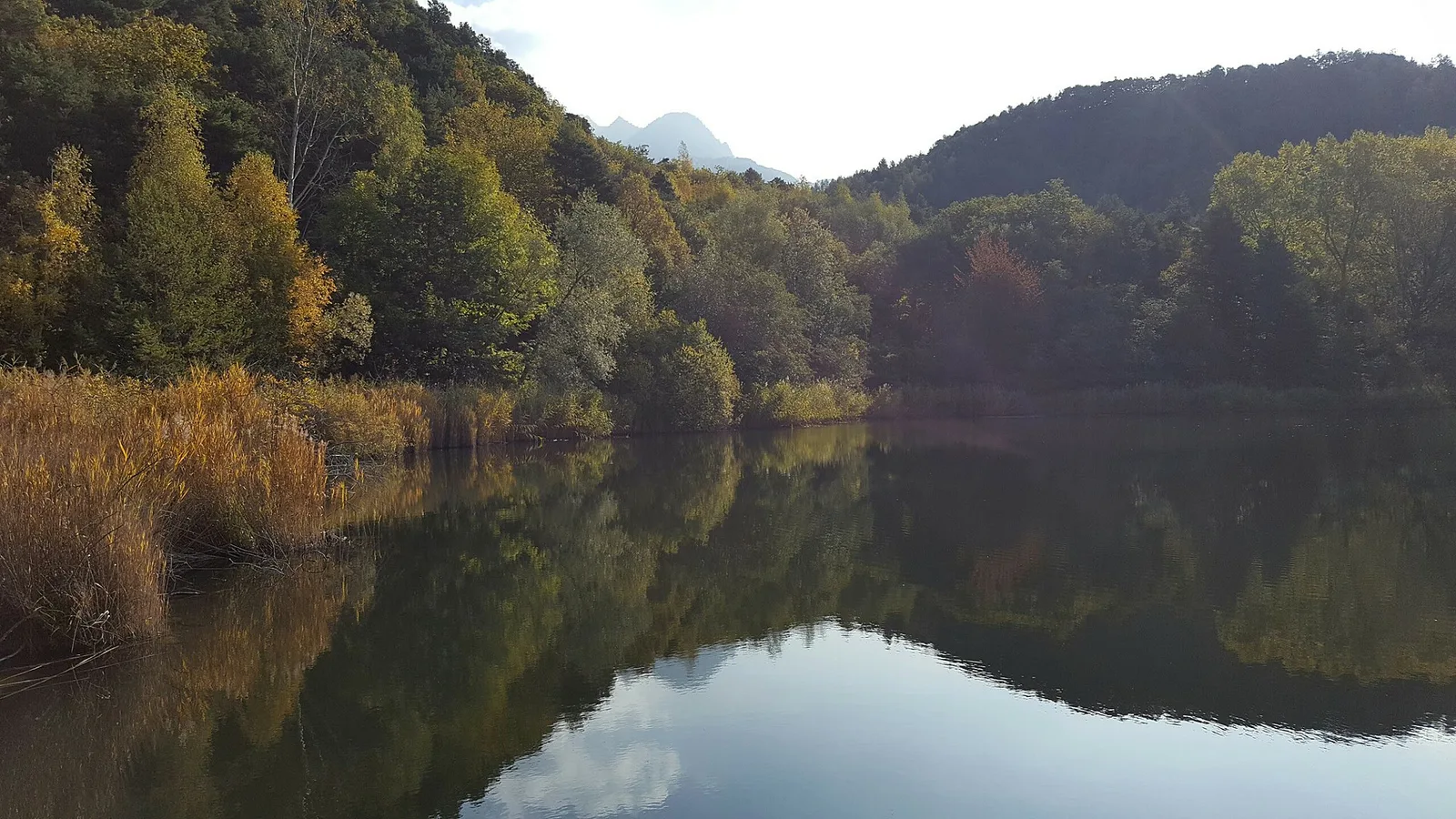 Torille - Lac de Ville (Challand-Saint-Victor)