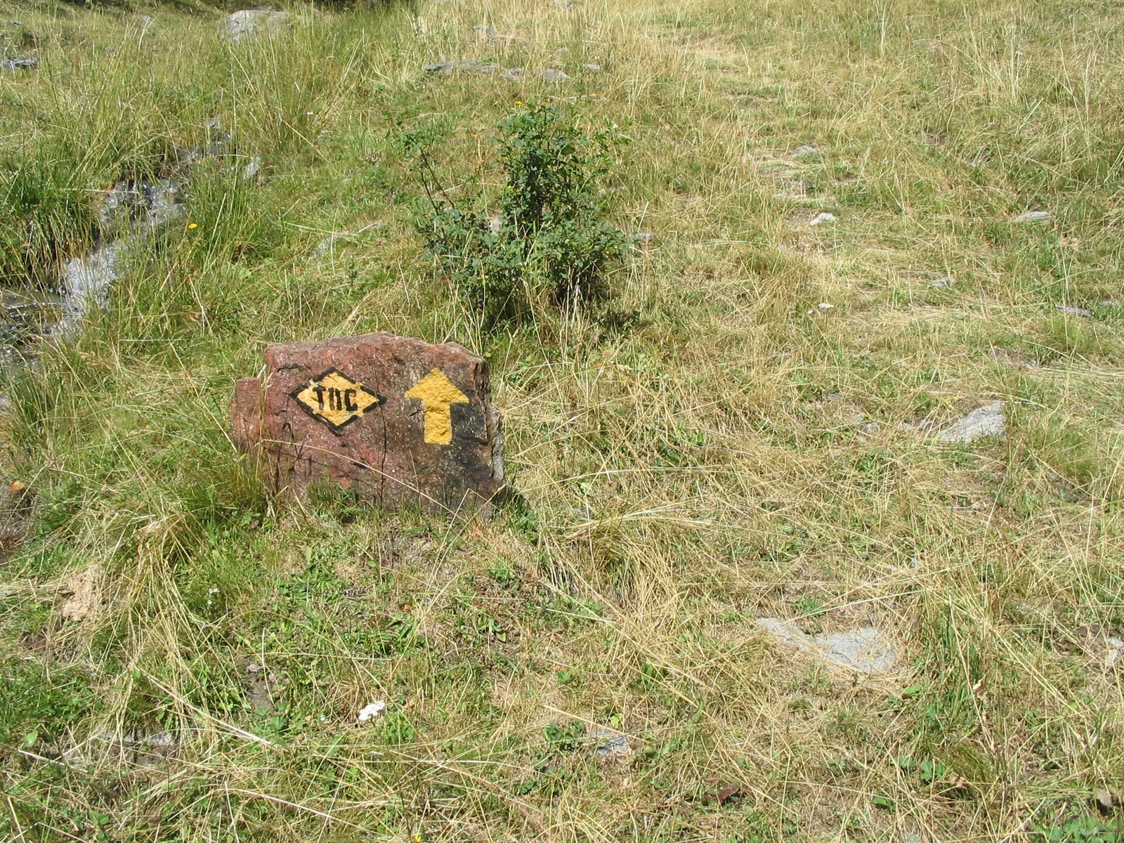 TAPPA 13: Rey - Rifugio Champillon
